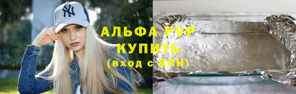 гидра Горняк