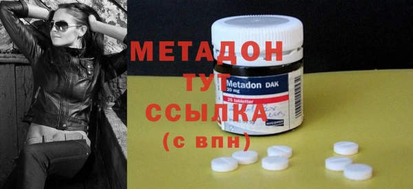 гидра Горняк