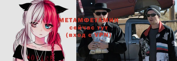 гидра Горняк