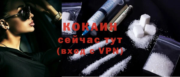 гидра Горнозаводск