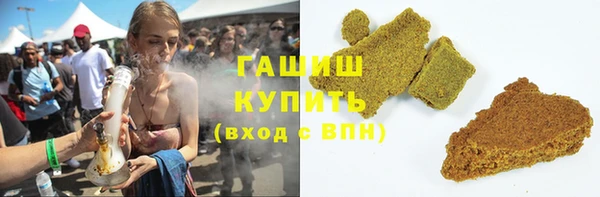 гидра Горняк