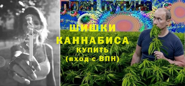 гидра Горнозаводск