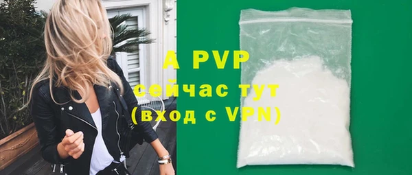 гидра Горнозаводск