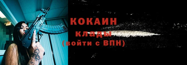 гидра Горнозаводск