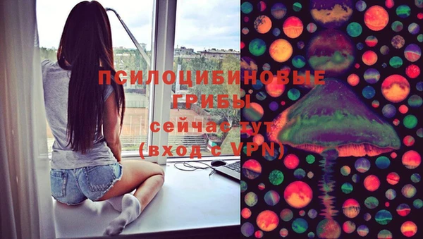 тгк Горно-Алтайск