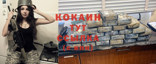 гидра Горняк