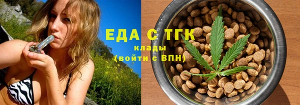 гидра Горняк