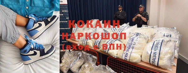 гидра Горнозаводск