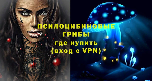 гидра Горняк