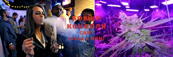 гидра Горняк