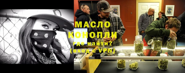 гидра Горняк