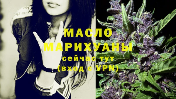 гидра Горняк