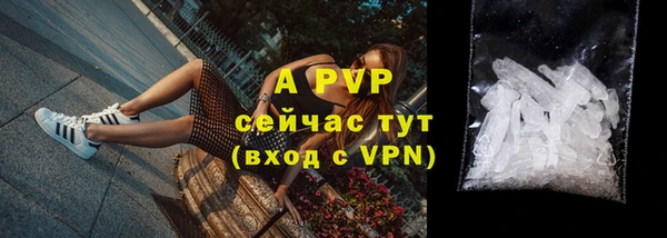 гидра Горнозаводск