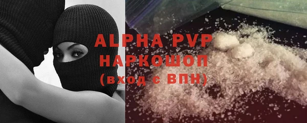 гидра Горнозаводск