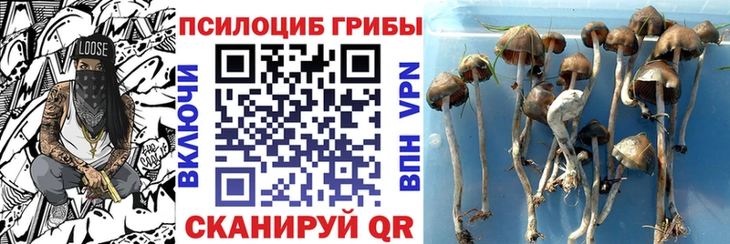 Галлюциногенные грибы прущие грибы  Юрюзань 